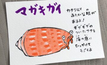 ポップなイラストの生体解説