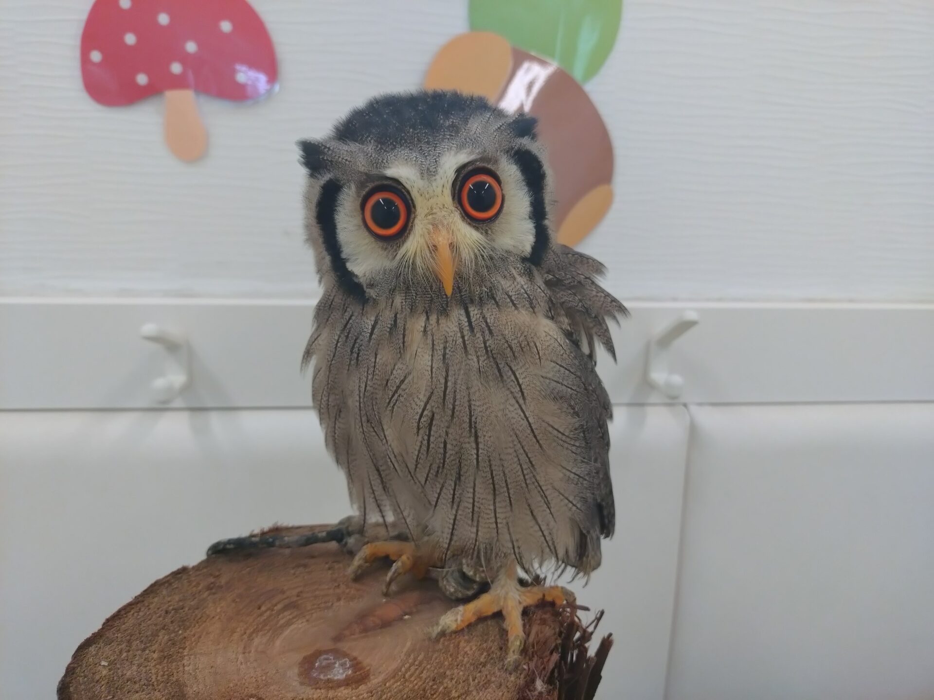 20250522_084652 20250522_084652