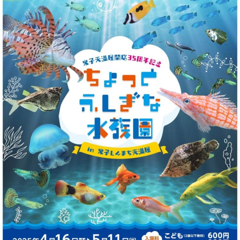 2025ｇｗ米子フライヤー