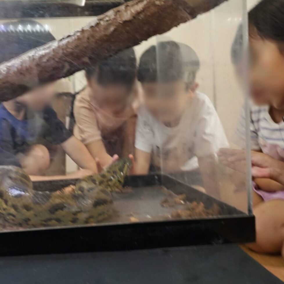 無題1_20250926190128 無題1_20250926190128