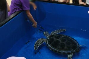 無題25_20250915181259