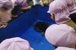 無題27_20250915181528