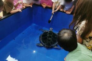 無題28_20250915181647