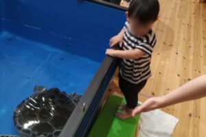 無題30_20250915182024