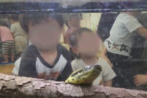 無題51_20250924165631