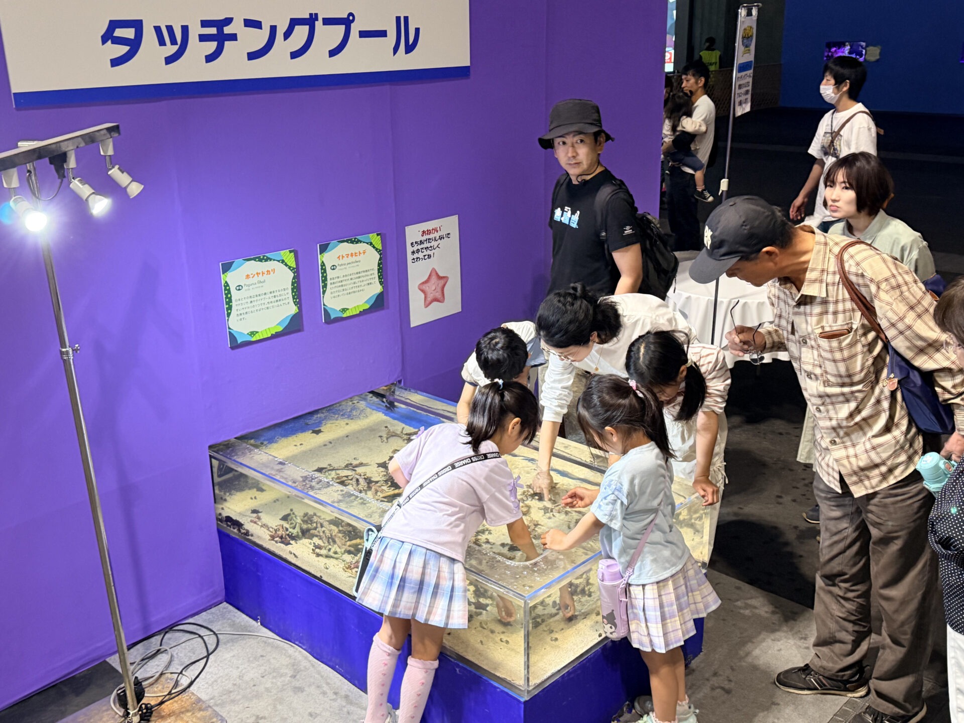 キモかわ生き物展 in 米子しんまち天満屋（開催期間 2026年4月17日～5月6日）