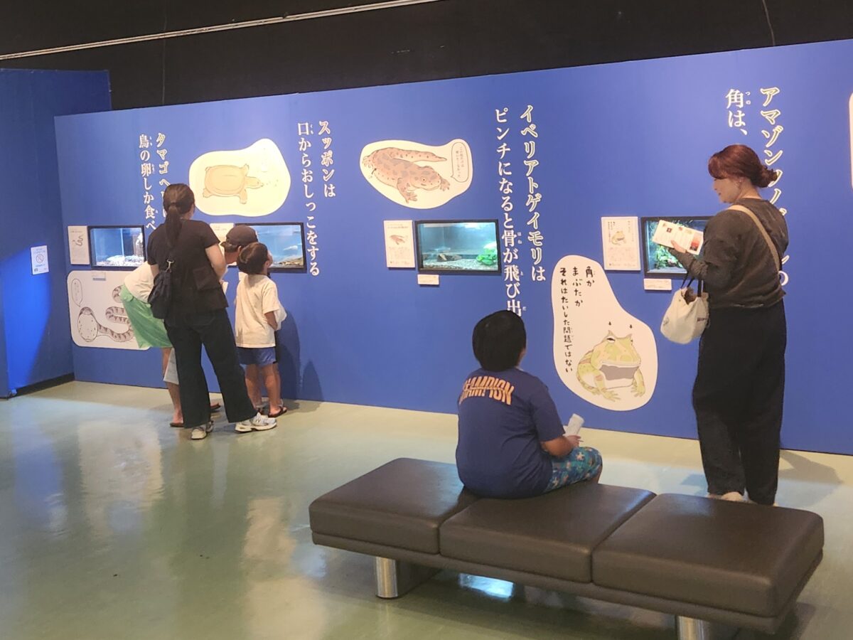 ざんねんないきもの事典inみやはく